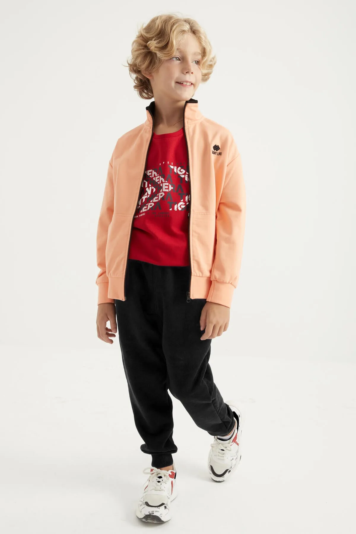 basic dik yaka standart kalip nakiş detayli fermuarli erkek sweatshirt - 11012