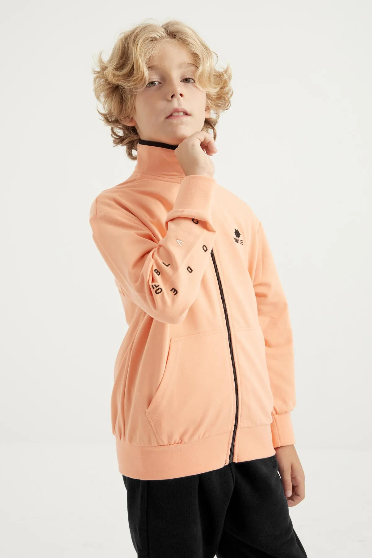 basic dik yaka standart kalip nakiş detayli fermuarli erkek sweatshirt - 11012