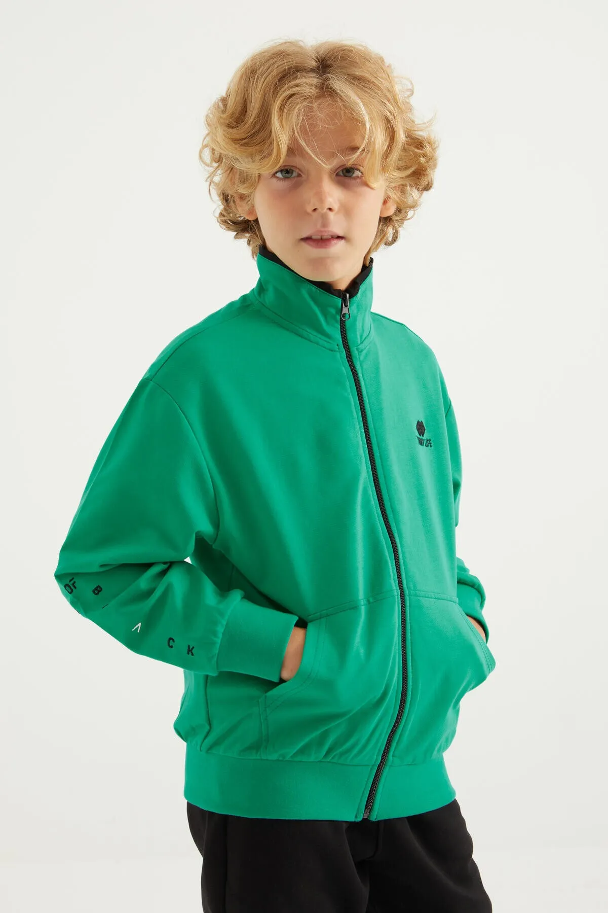 basic dik yaka standart kalip nakiş detayli fermuarli erkek sweatshirt - 11012
