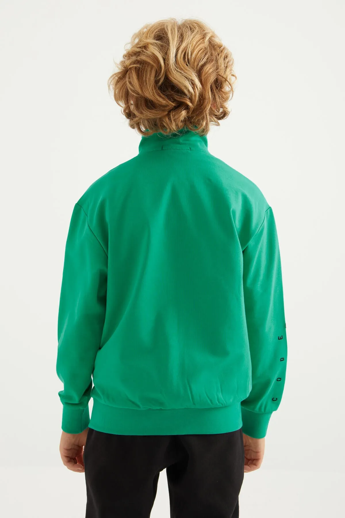 basic dik yaka standart kalip nakiş detayli fermuarli erkek sweatshirt - 11012