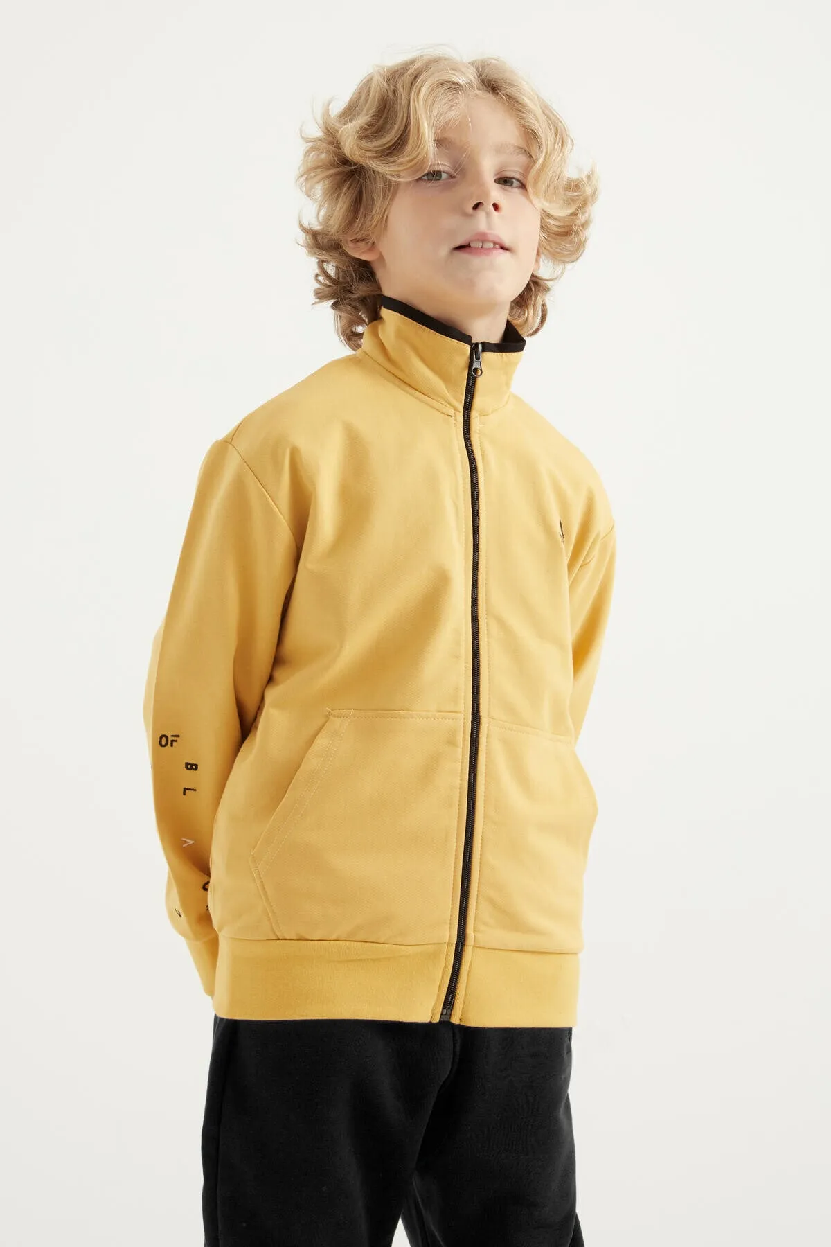 basic dik yaka standart kalip nakiş detayli fermuarli erkek sweatshirt - 11012