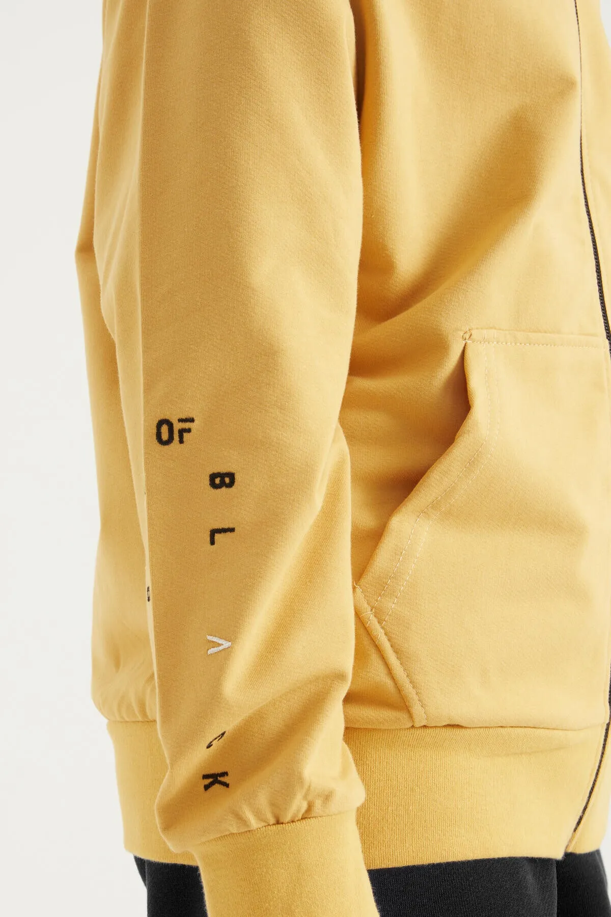 basic dik yaka standart kalip nakiş detayli fermuarli erkek sweatshirt - 11012