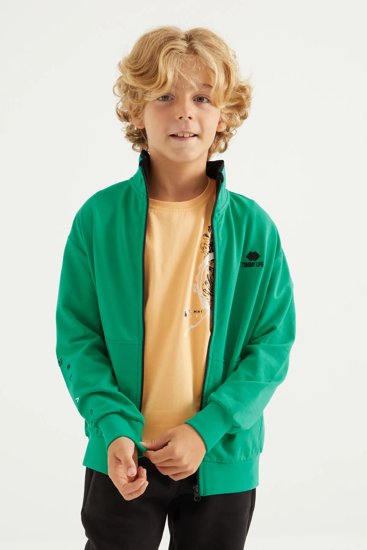 basic dik yaka standart kalip nakiş detayli fermuarli erkek sweatshirt - 11012