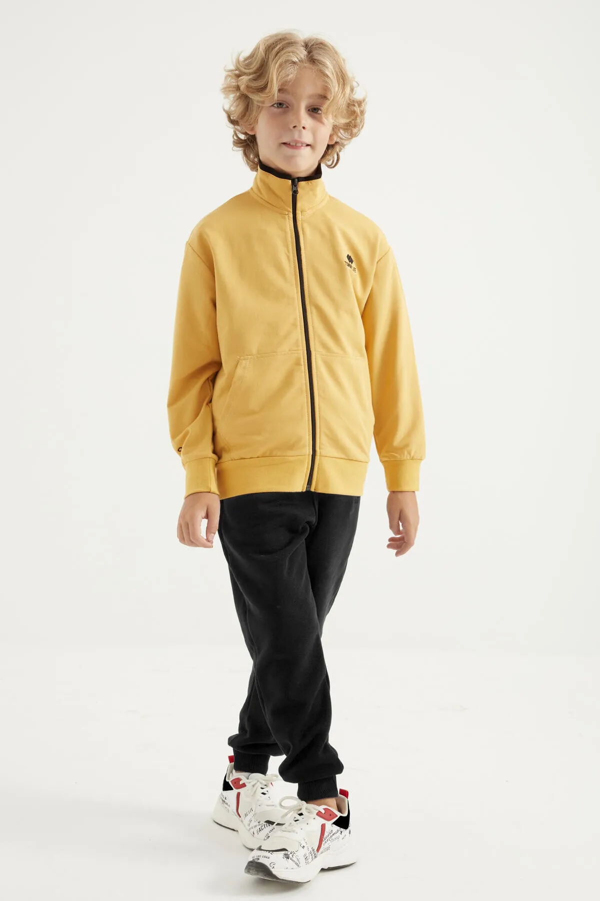 basic dik yaka standart kalip nakiş detayli fermuarli erkek sweatshirt - 11012