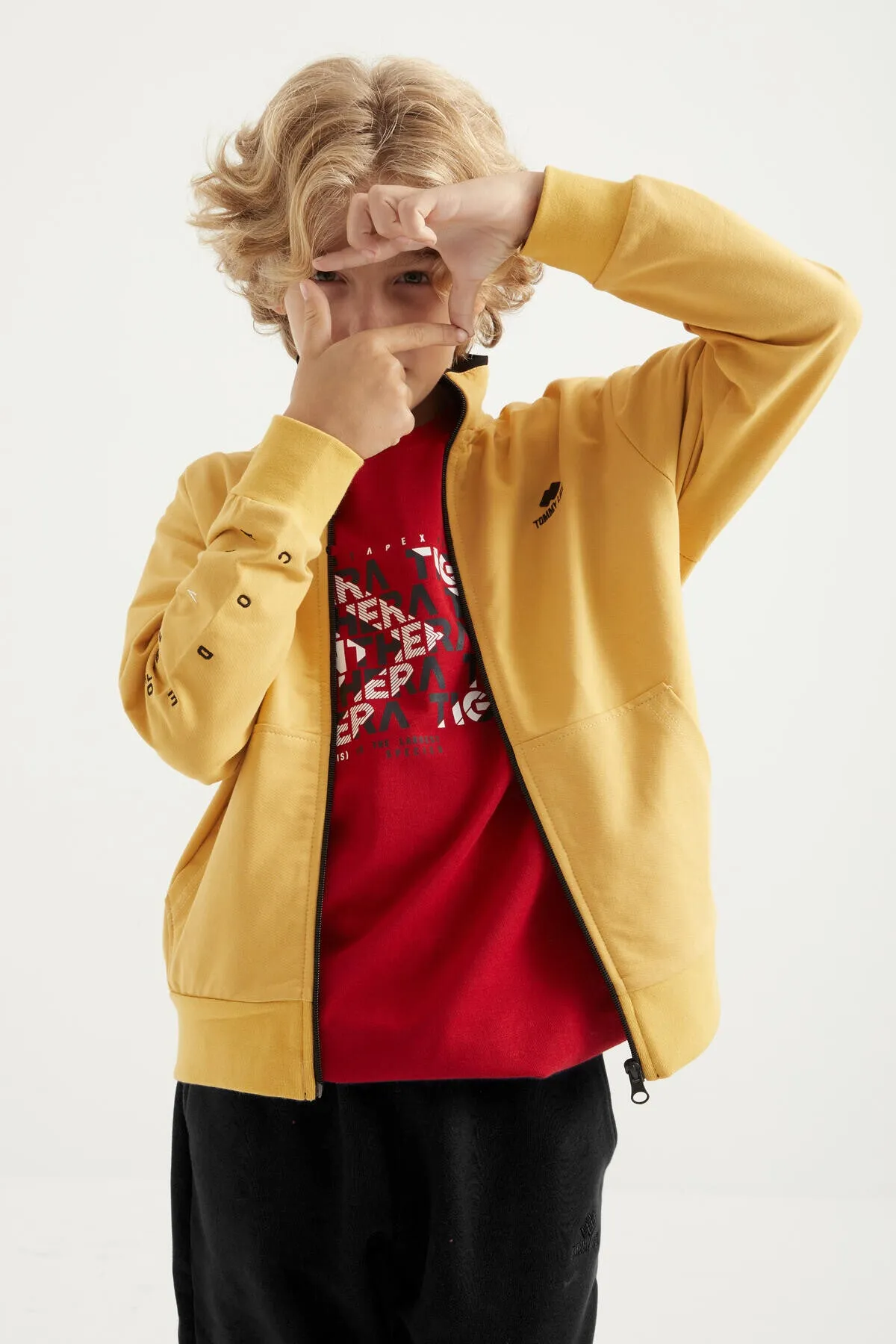 basic dik yaka standart kalip nakiş detayli fermuarli erkek sweatshirt - 11012