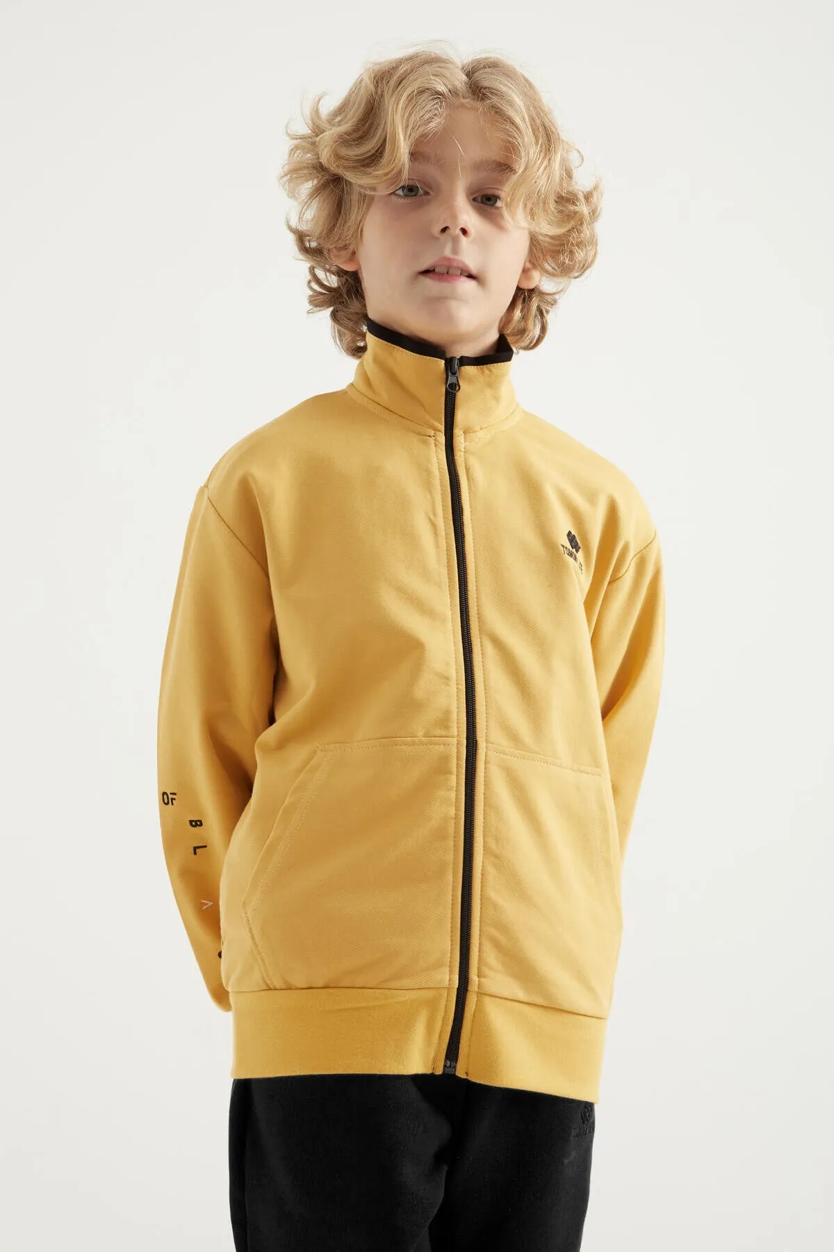 basic dik yaka standart kalip nakiş detayli fermuarli erkek sweatshirt - 11012