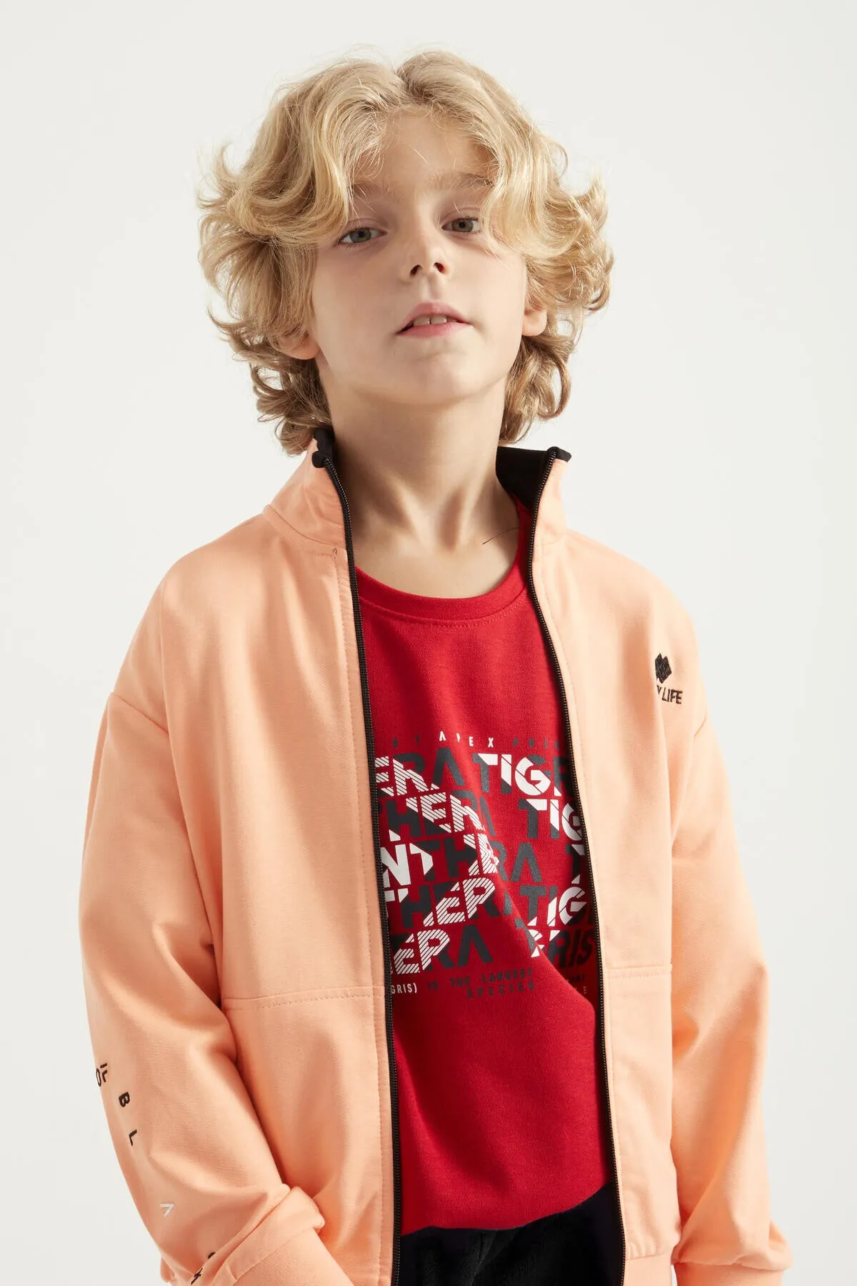 basic dik yaka standart kalip nakiş detayli fermuarli erkek sweatshirt - 11012