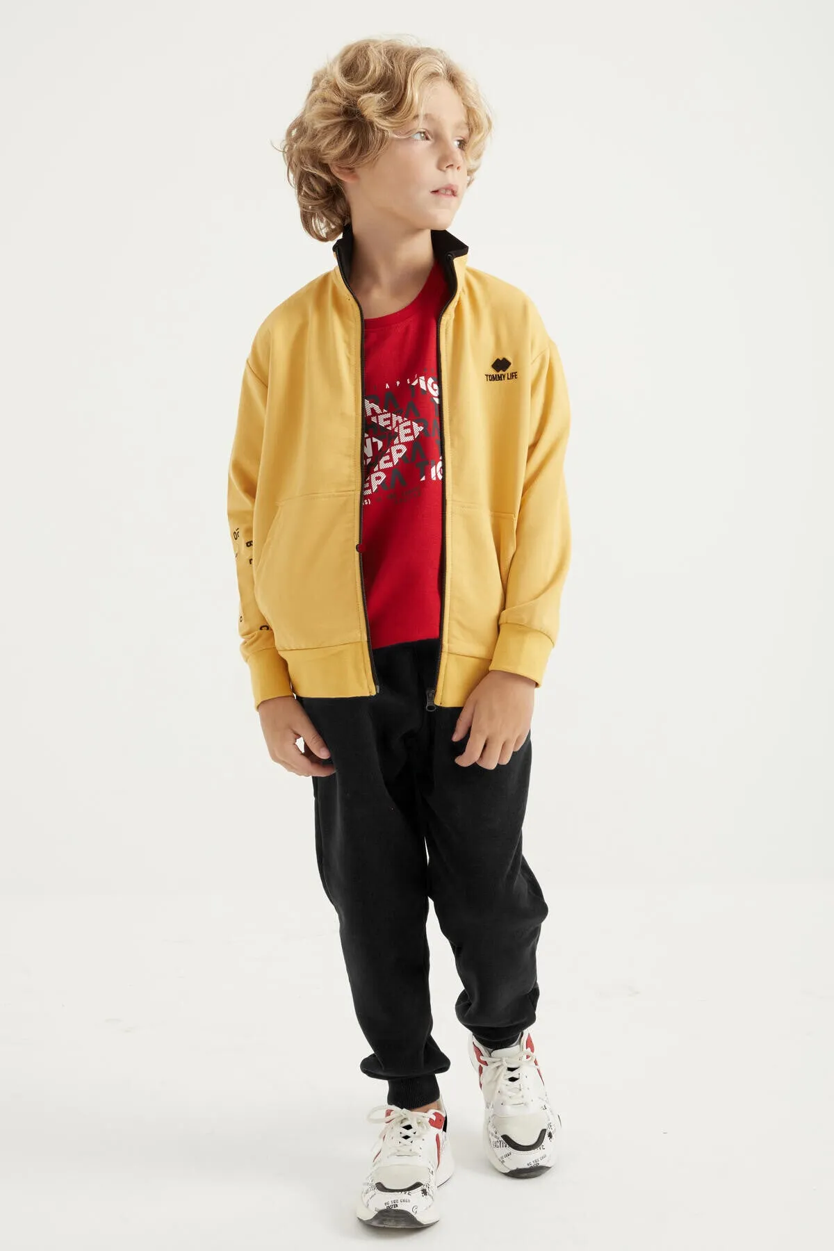 basic dik yaka standart kalip nakiş detayli fermuarli erkek sweatshirt - 11012